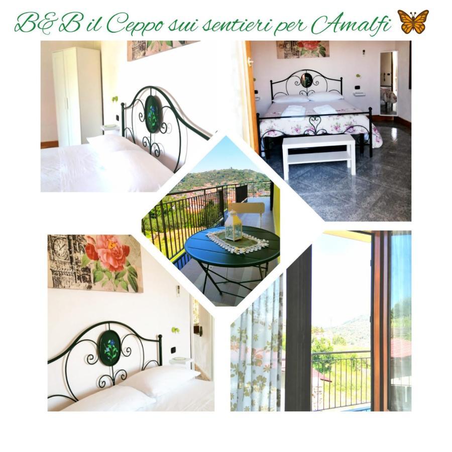 Bed and Breakfast Il Ceppo Sui Sentieri Per Amalfi Pimonte Exterior foto