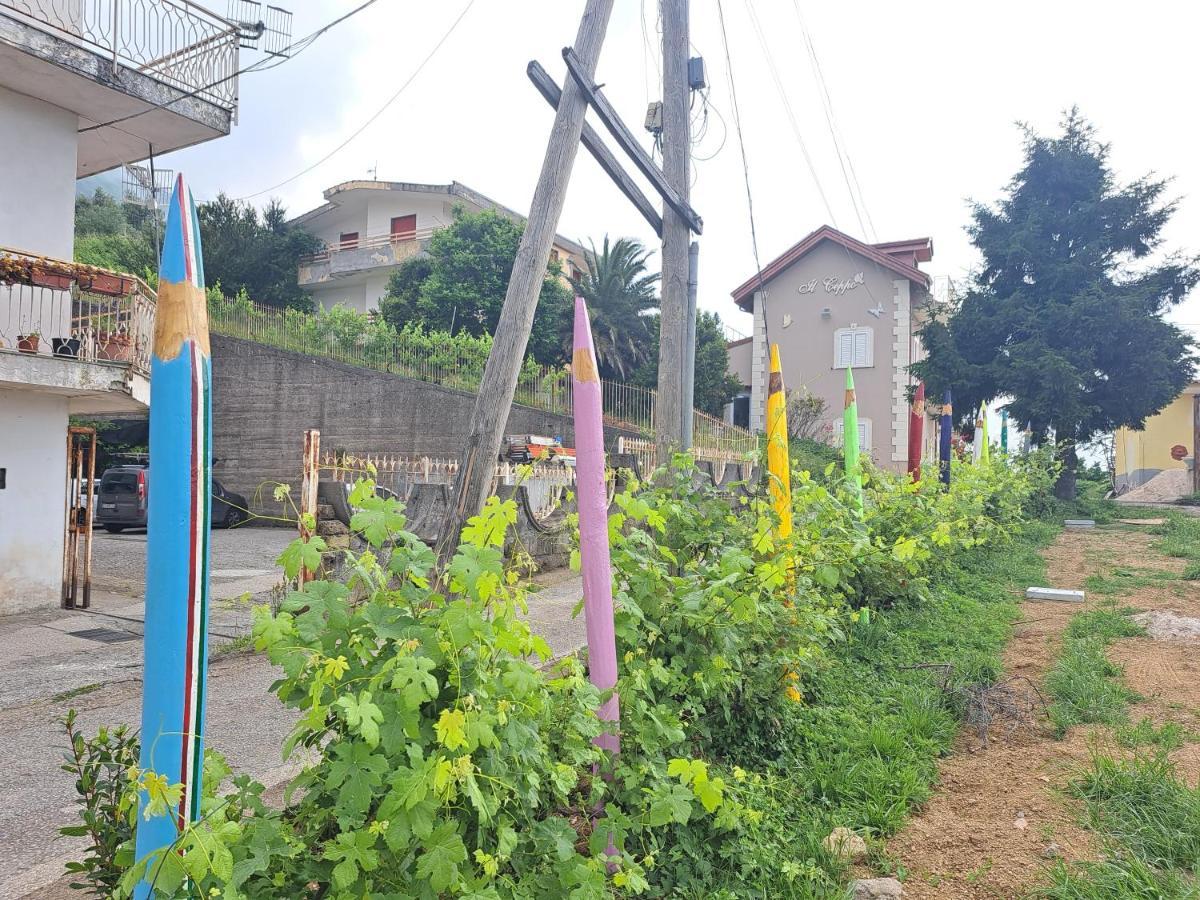 Bed and Breakfast Il Ceppo Sui Sentieri Per Amalfi Pimonte Exterior foto